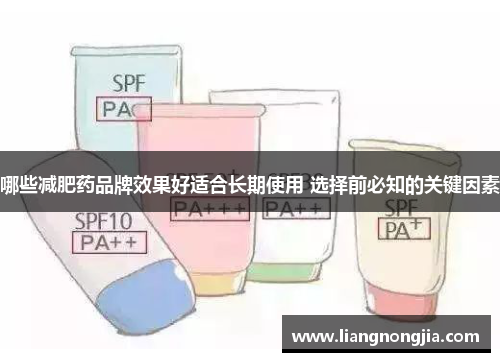 哪些减肥药品牌效果好适合长期使用 选择前必知的关键因素