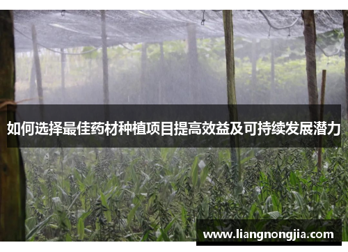 如何选择最佳药材种植项目提高效益及可持续发展潜力