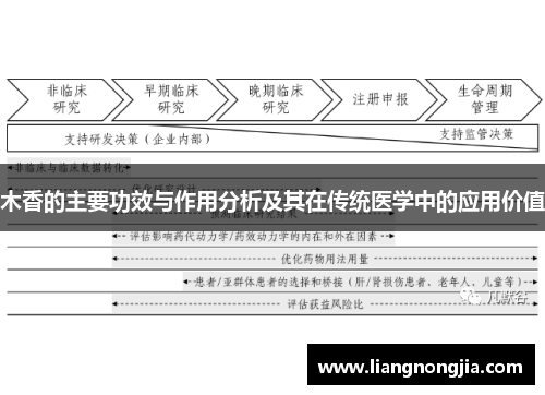 木香的主要功效与作用分析及其在传统医学中的应用价值