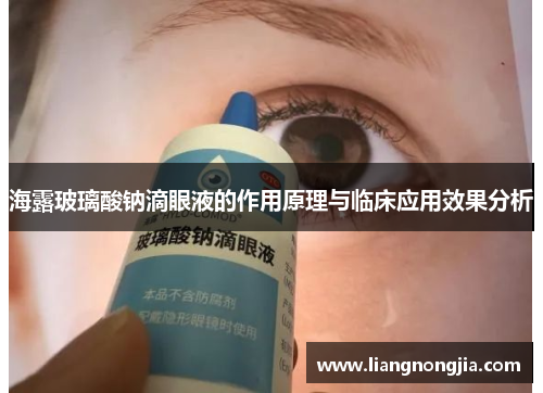 海露玻璃酸钠滴眼液的作用原理与临床应用效果分析